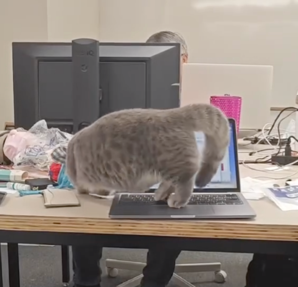 鍵盤都快被踩壞啦~