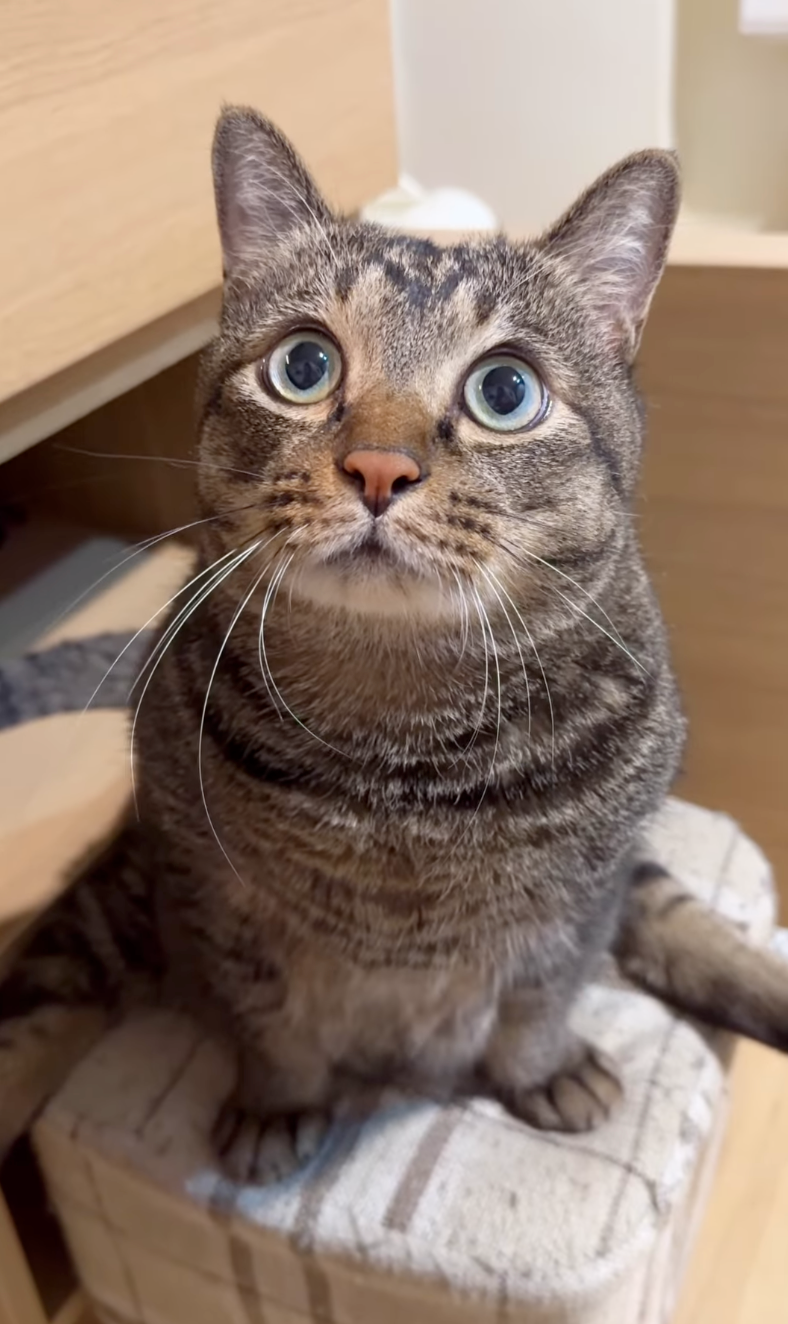 阿吉是靠自己努力上去的喔～