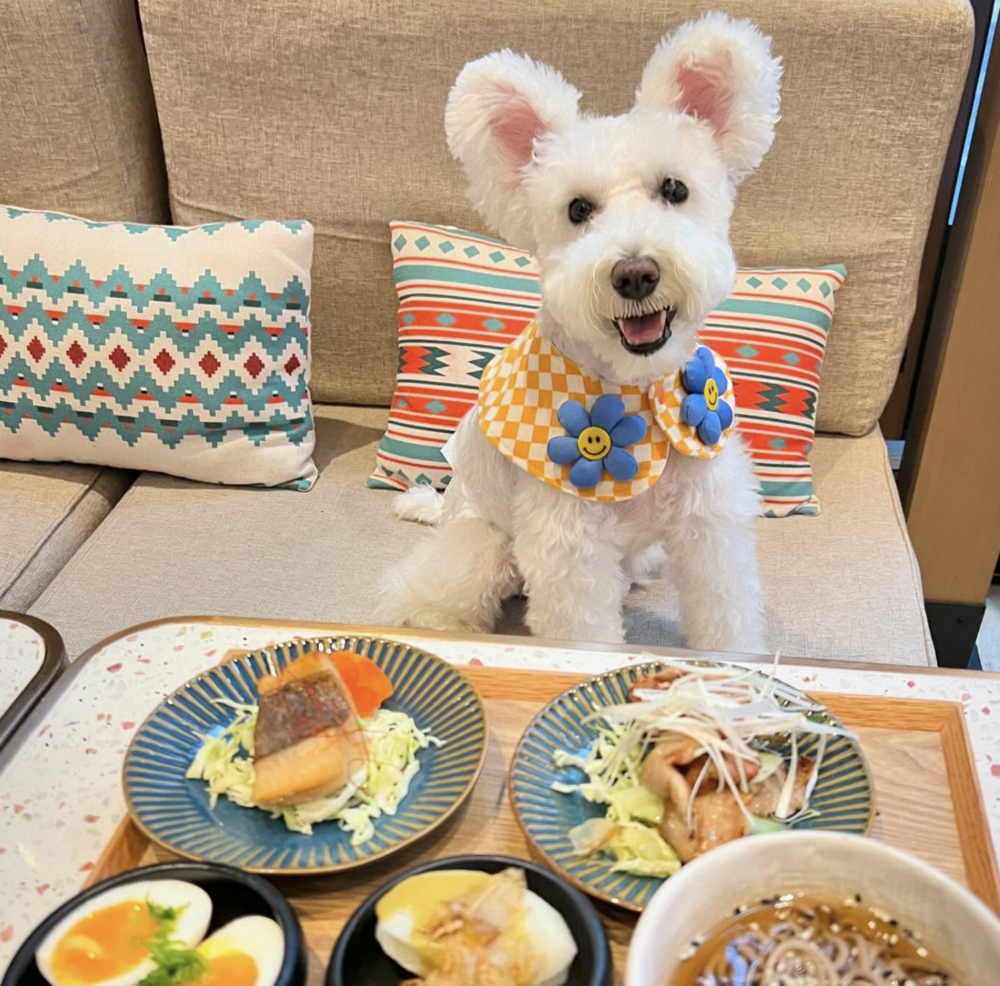 睇到都流晒口水。