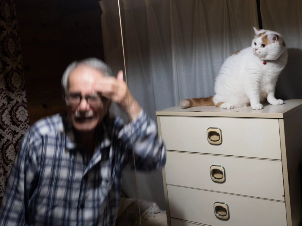 老爸表示：好痛！這貓欺負我！