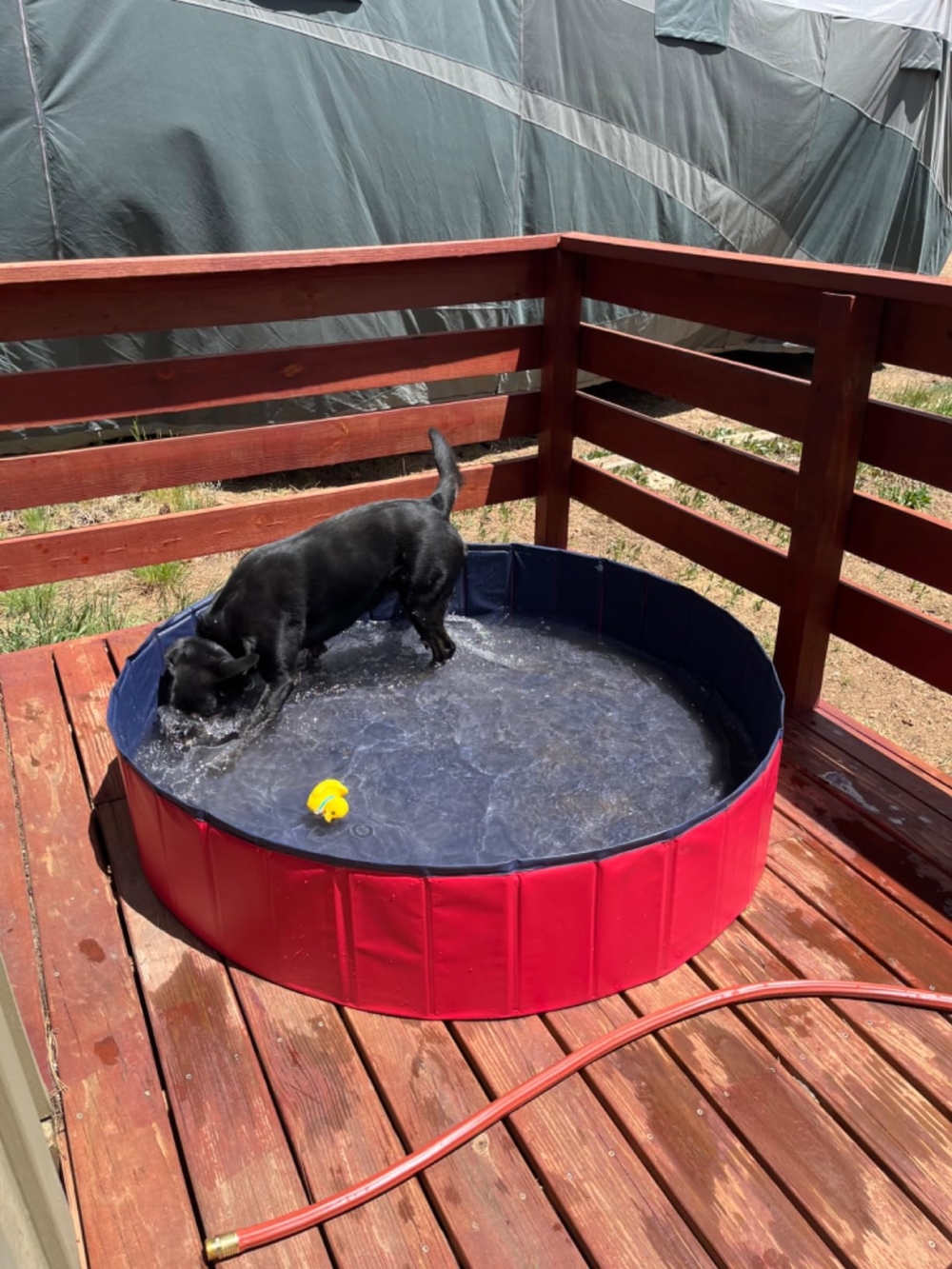 設計防滑又耐用。