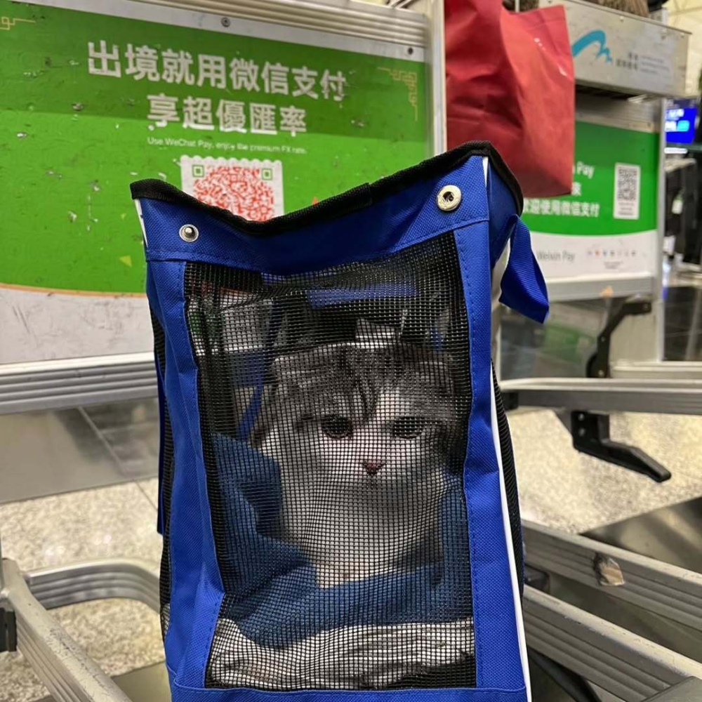 為確保寵物的呼吸暢通，手提袋的垂直四面應至少有16%的面積用作通風。