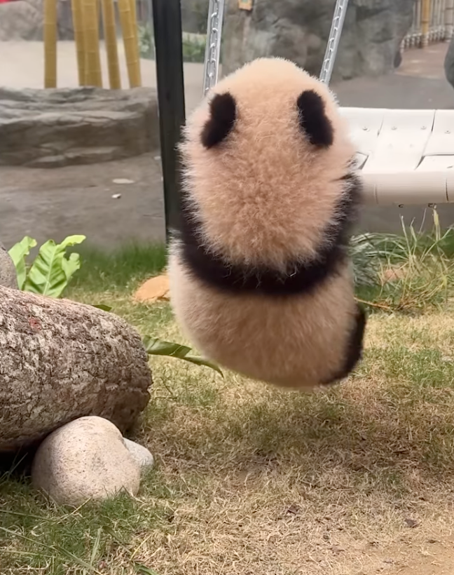 家姐精力旺盛啊～