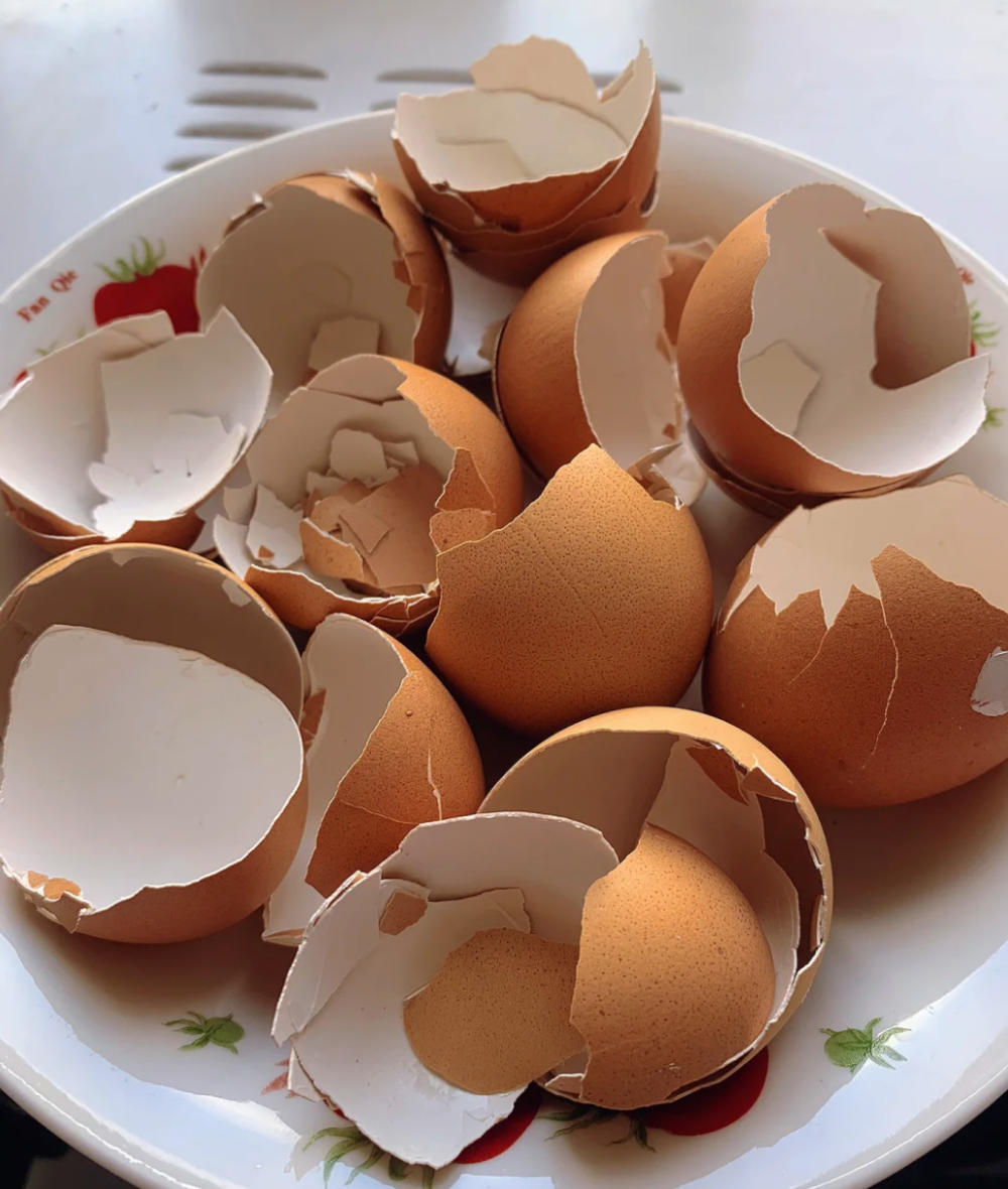 蛋殼中的成分對毛孩健康有幫助喔～