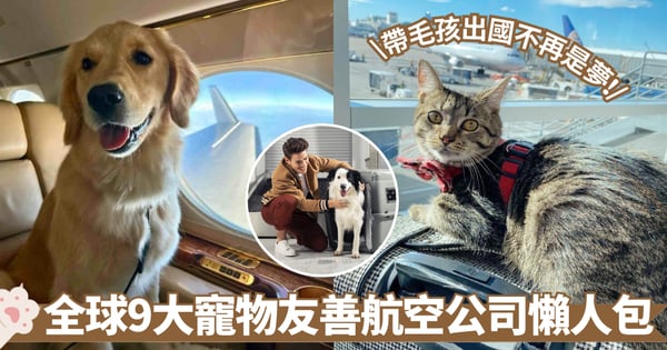 寵物友善航空｜全球9大寵物友好航空公司懶人包 費用、外遊政策 帶主子環遊世界不是夢！