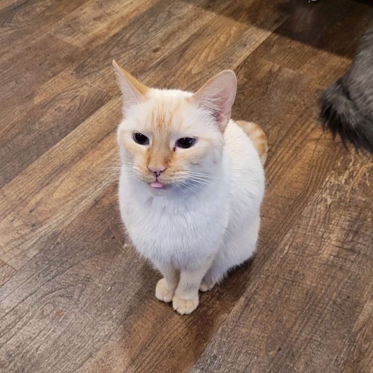 最重要魚油的品牌要選好喔～ 