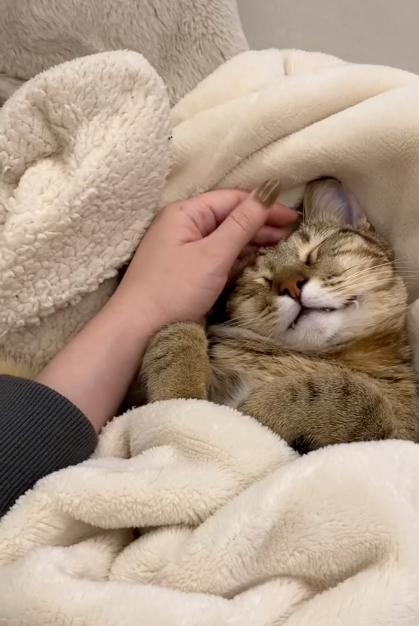 黏人精～每天都要找媽媽貼貼～