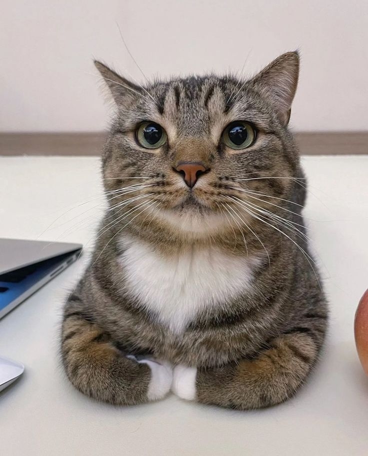 泡溫水軟化魚油～