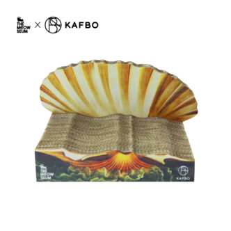 貝殼設計的貓抓板好漂亮～