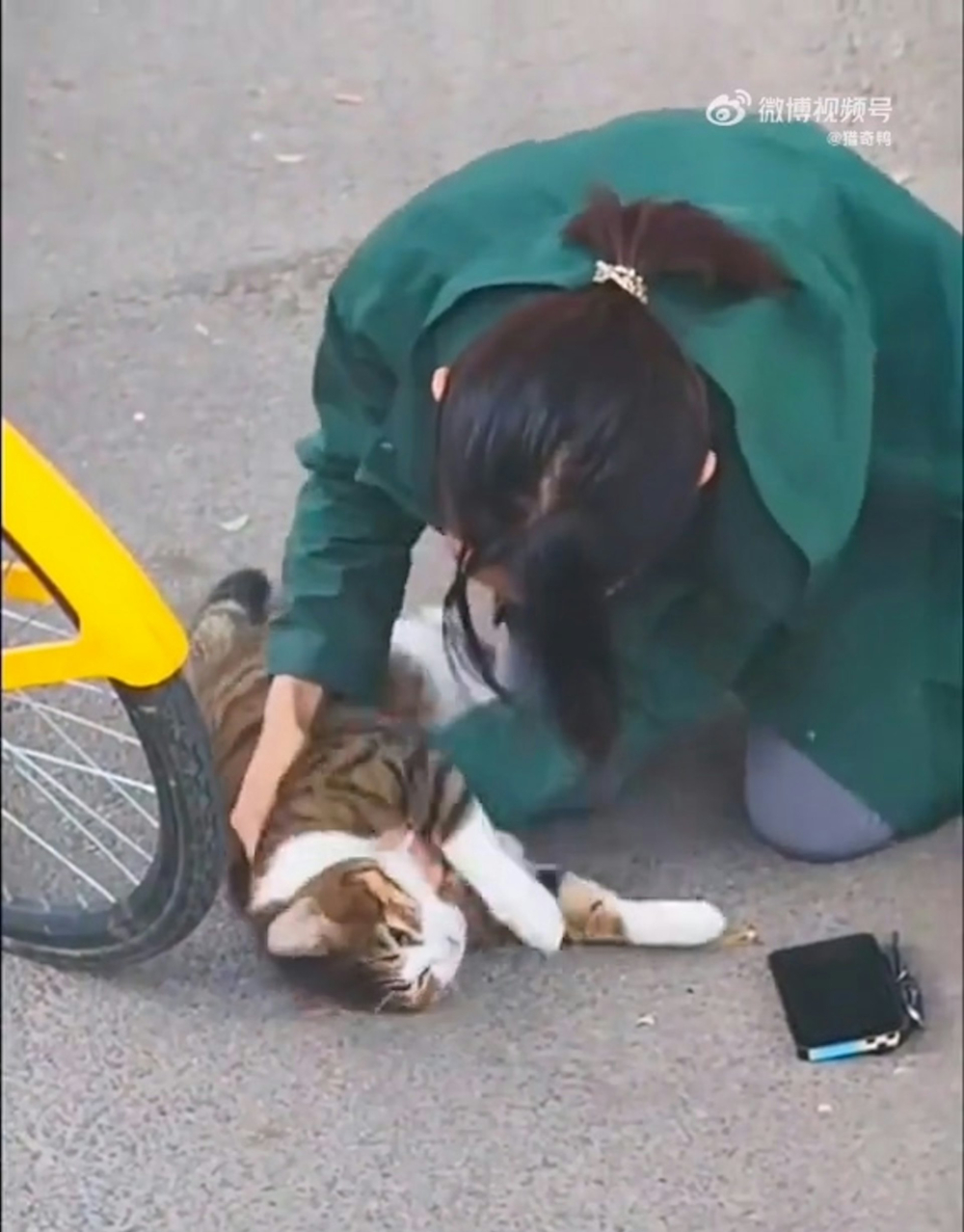 經過好幾分鐘的搶救，把貓咪從鬼門關救了回來。
