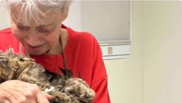 毛孩就是我們的家人呀~