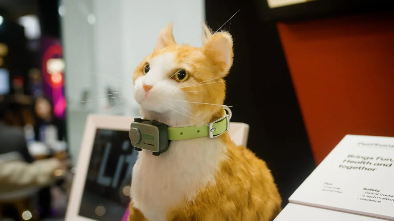 GlocalMe推出全球首款寵物智能手機「PetPhone」