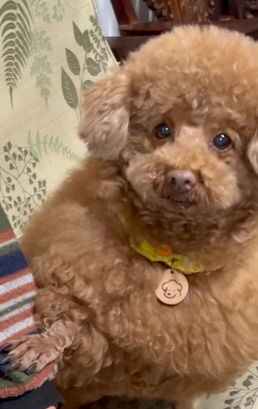 在討吃的妞妞～