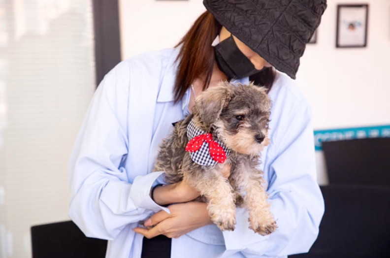 網友意見兩極。