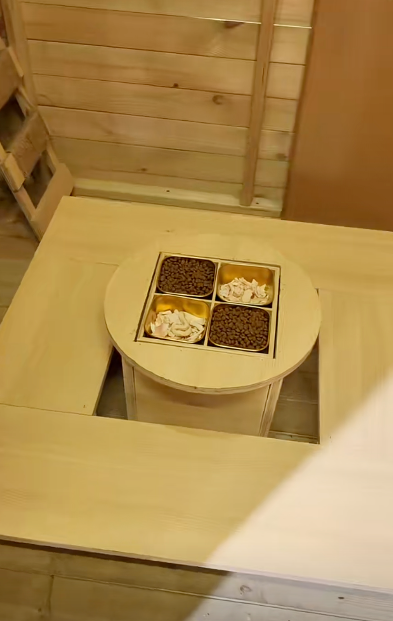 貓咪也能吃「四宮格火鍋」～