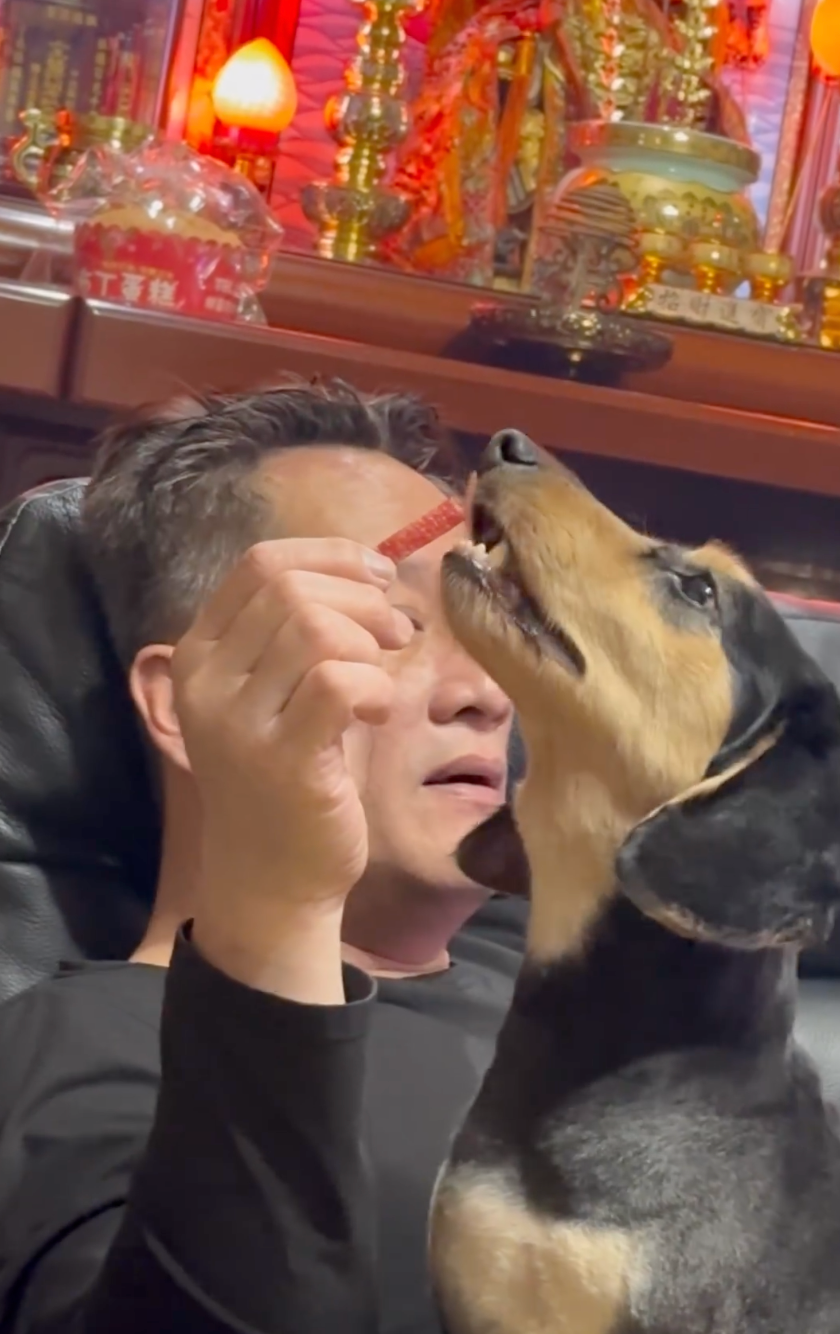 其實口水都已經動到了啦～