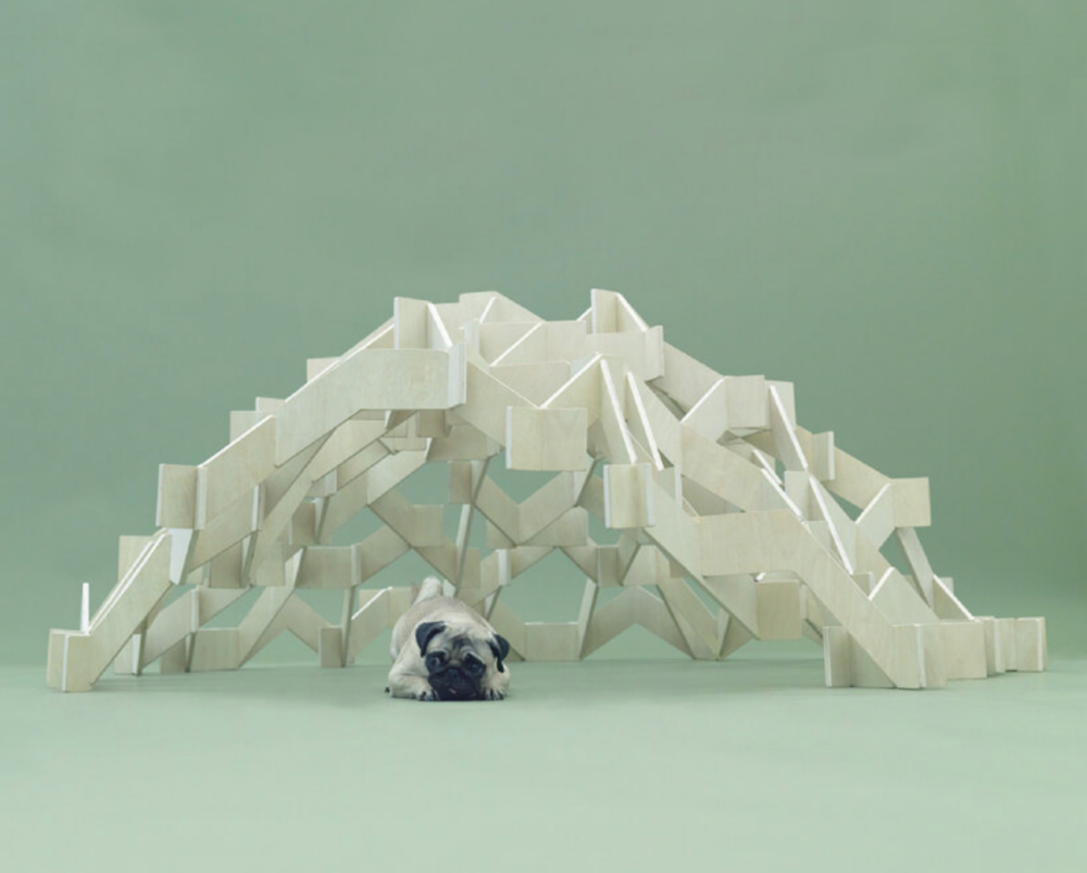 每一個狗窩設計都很特別喔～