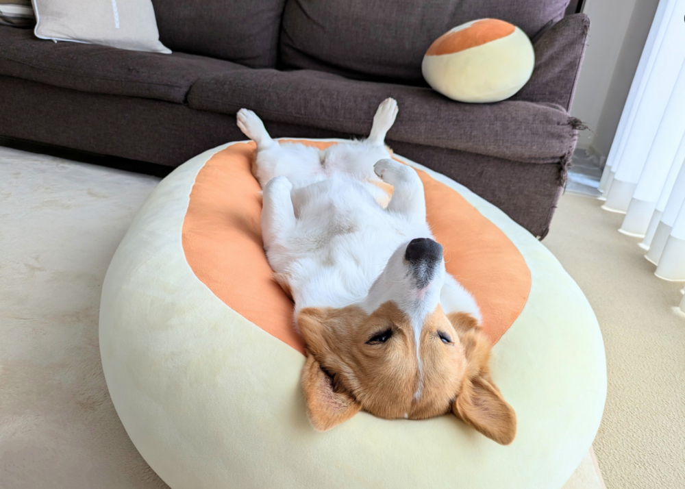 很享受睡覺喔！