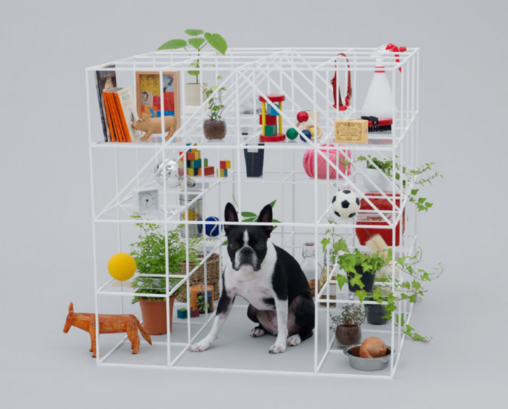 藤本壯介（Sou Fujimoto）打造開放式狗屋，兼具書架功能