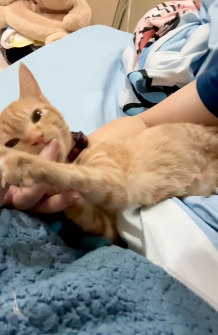 Q寶：好端端的～幹嘛不給人家吸啦～