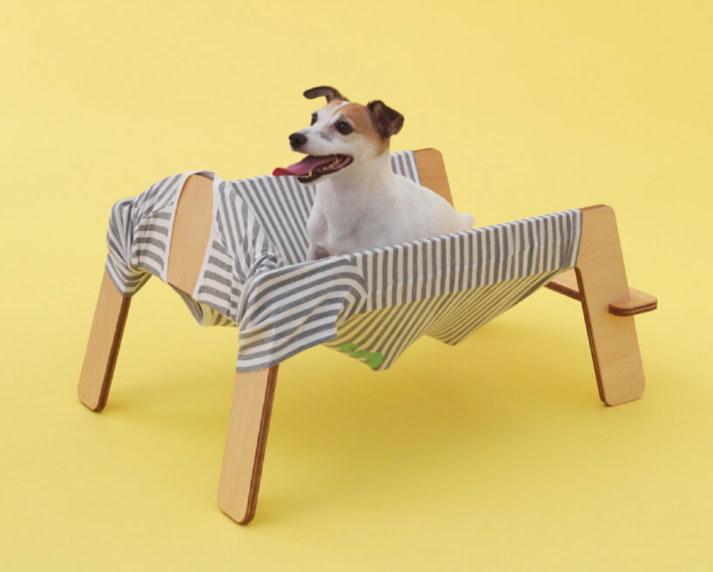 設計師TORAFU Architects發現狗狗在主人的衣服上最開心。