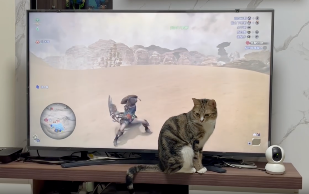 不對，這個「妖怪」怎麼血條沒扣！