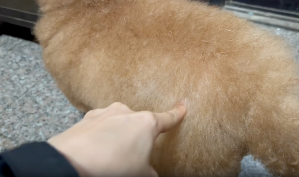 開始測試毛髮深度～