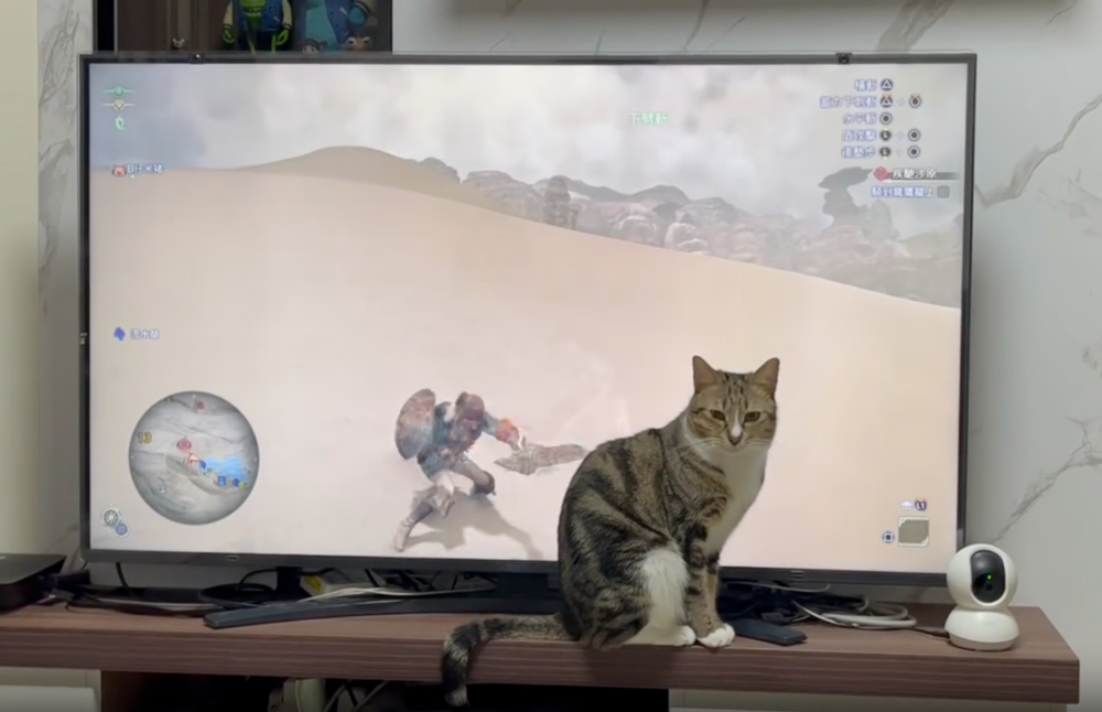 這隻怎麼比平時的難打？