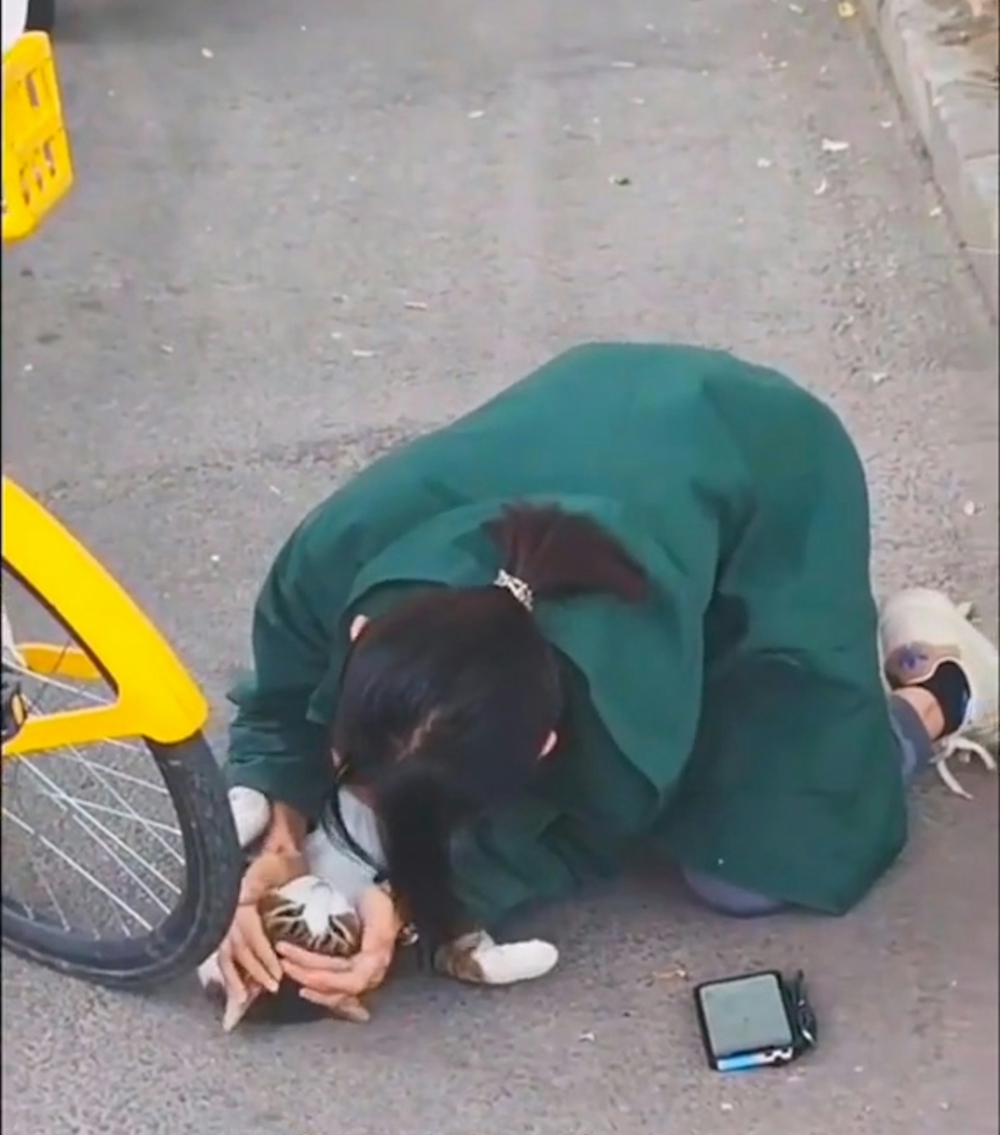女獸醫在路上貓咪急救的過程被拍下。
