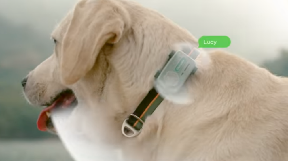 主人可以遠程控制設備發出語音留言或逗寵語音。