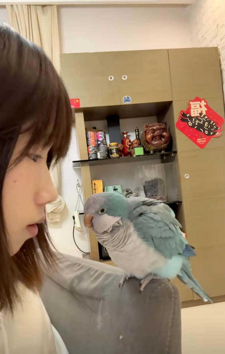 臭寶還會叫媽媽！