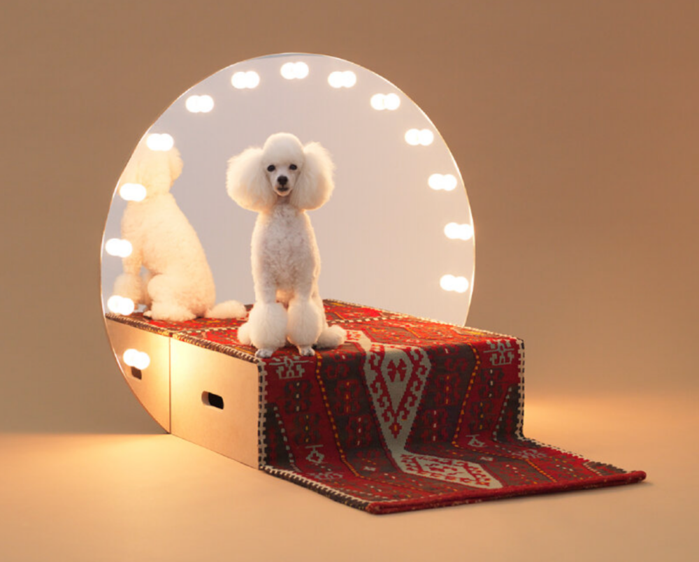 Konstantin Grcic為「狗狗的建築」在ADI設計博物館重新詮釋燈光化妝鏡