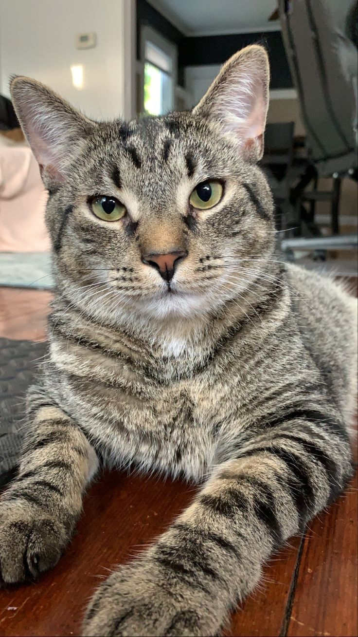 奴才們都學會了嗎～？