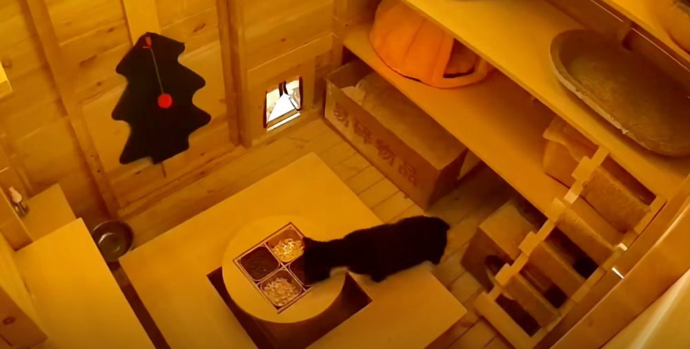 豆豆的第一位「顧客」！