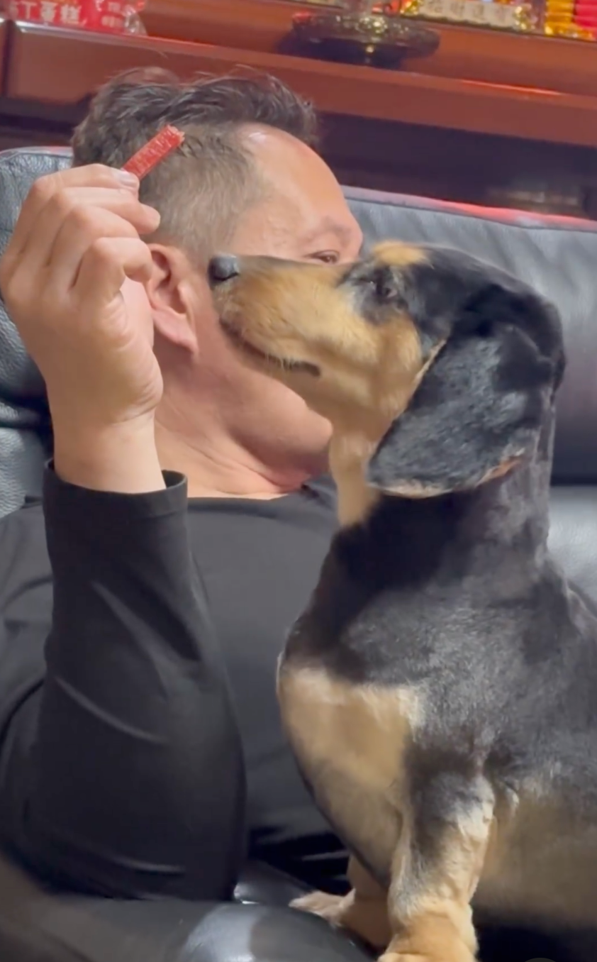 狗狗：哎呀～這麼香叫人家怎麼忍嘛～