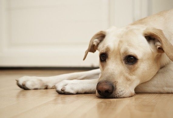 突然呼吸變得急促。