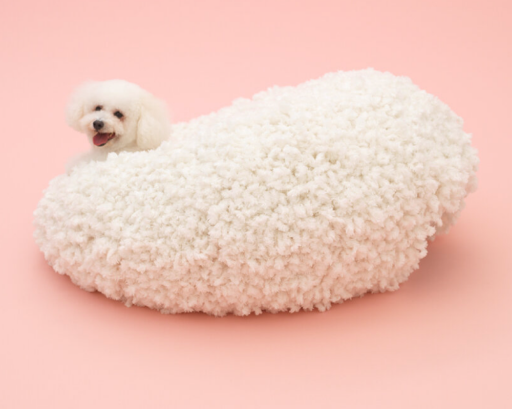 妹島和世（Kazuyo Sejima）設計出一款毛絨豆袋，為狗狗帶來舒適的休憩空間