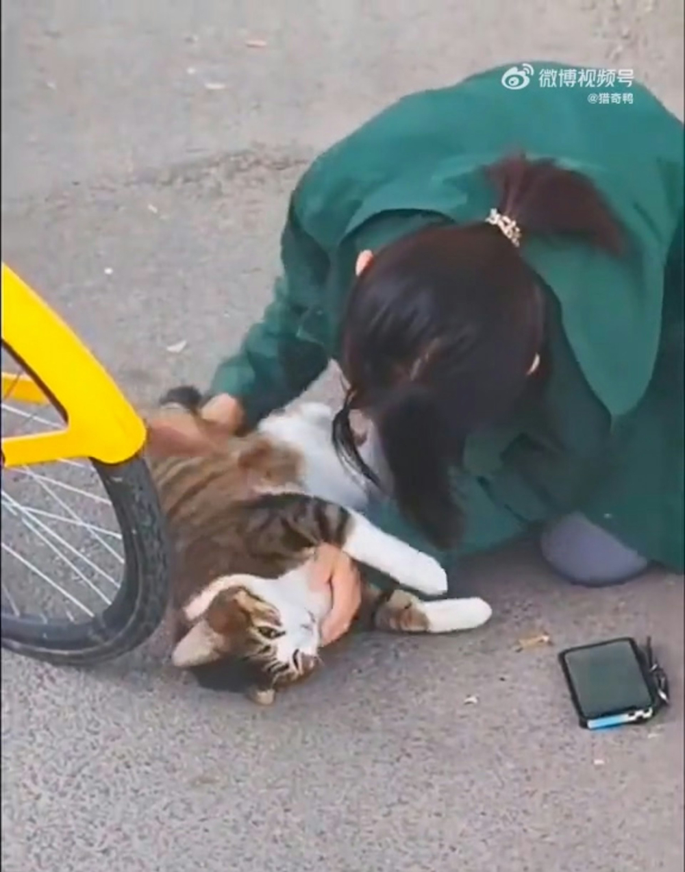 貓咪終於醒了。