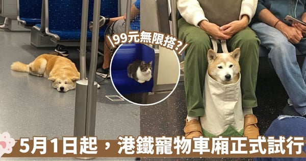 港鐵貓狗同行計劃懶人包!5月1日起試行 即睇規則、收費、袋子尺寸