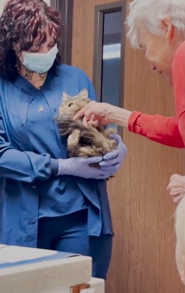 Aggie靠著本能生存了整整兩個月。