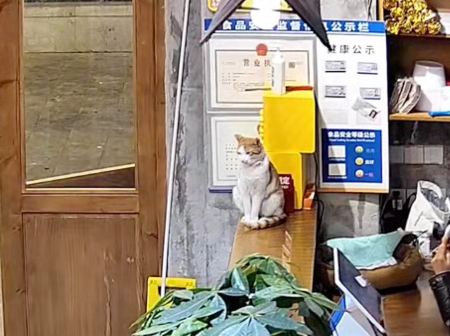 有在認真上班～