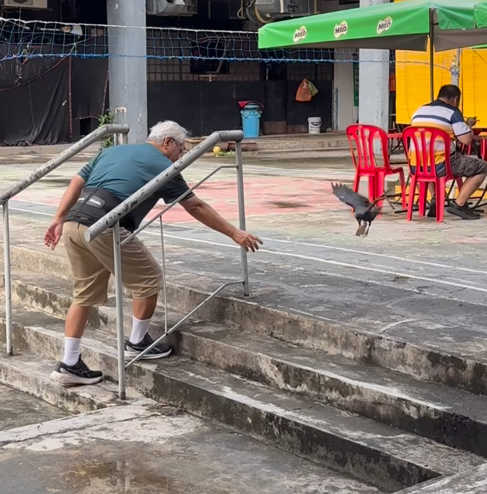 牠逃他追，他們都插翅難飛～