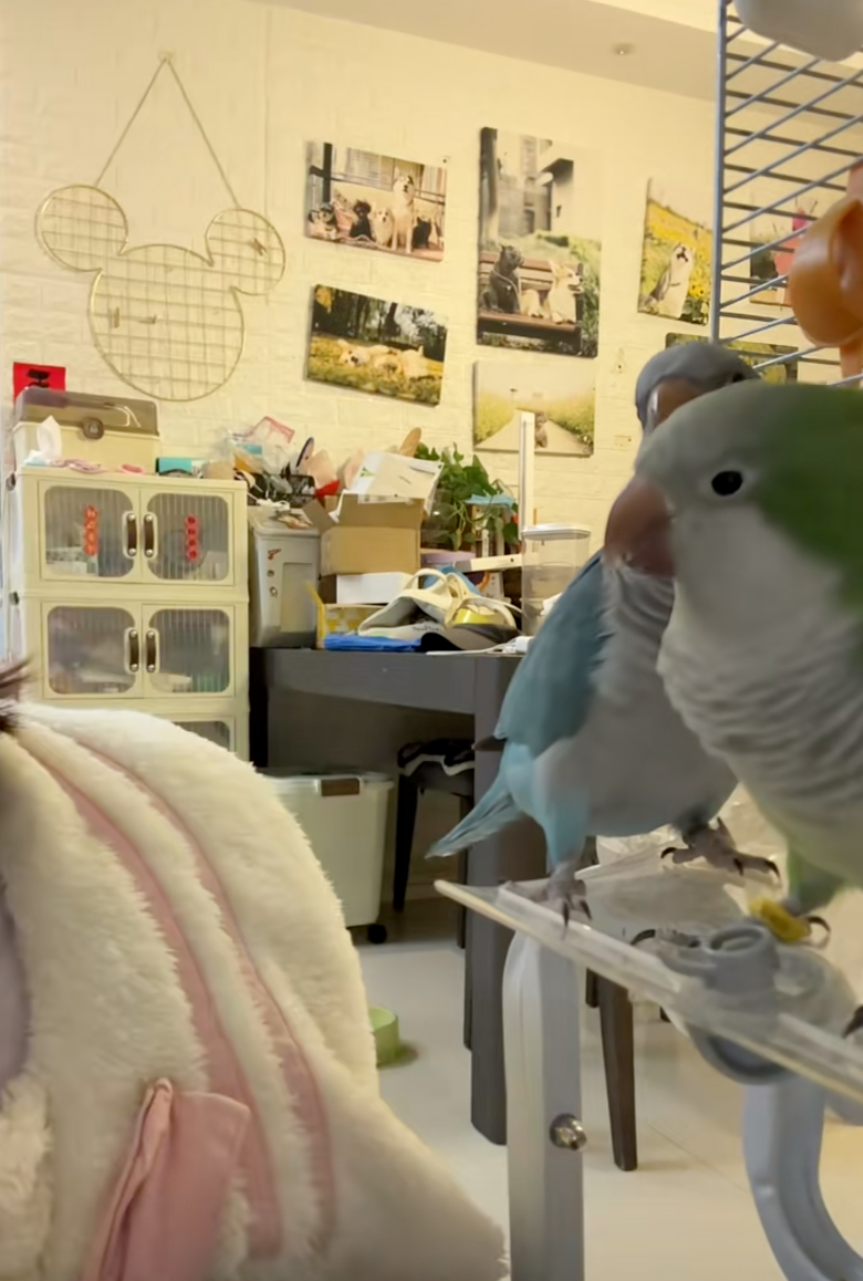 神同步一起回應媽媽的愛～