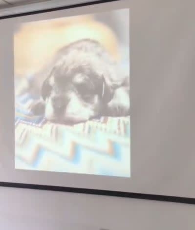 真的是Rara回來了嗎？