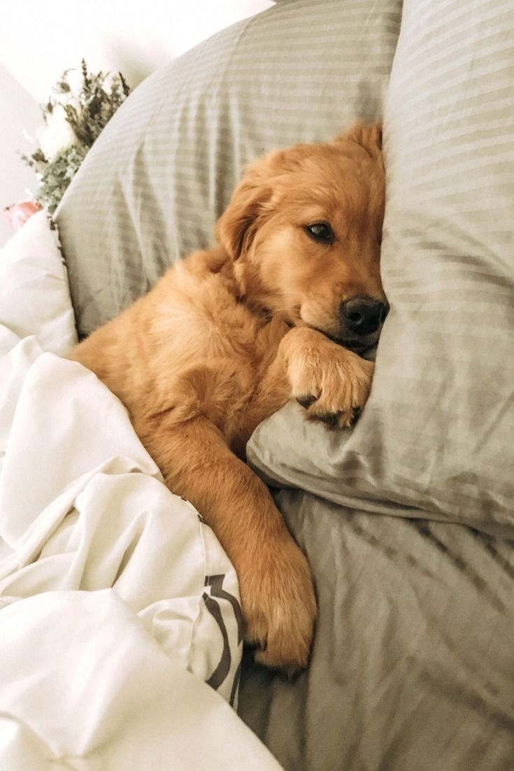 已經完全信任你了～