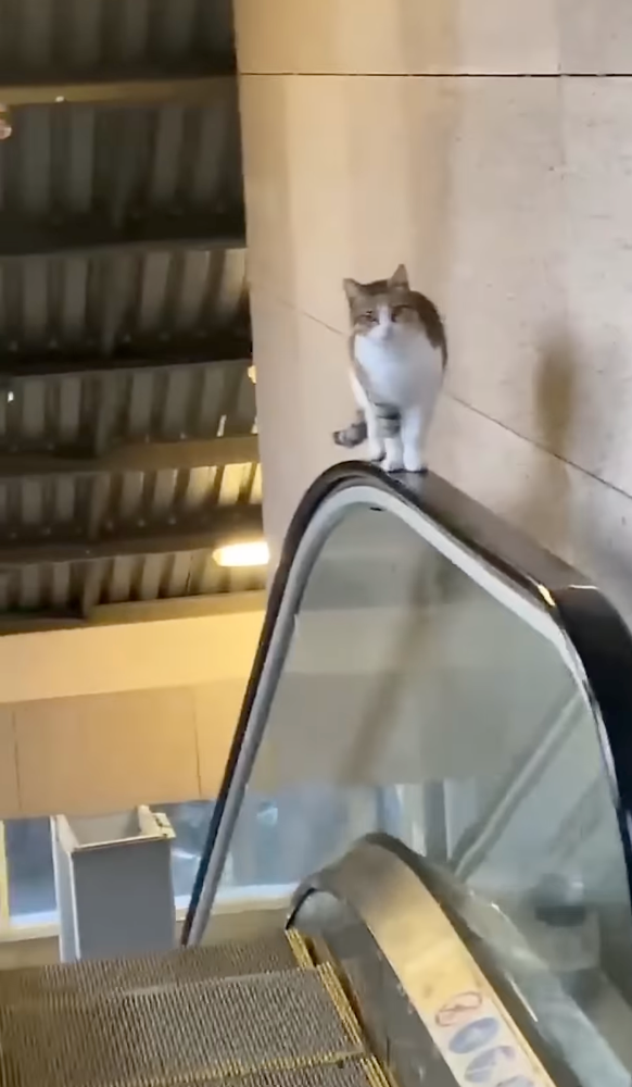 高手抵達目的地！