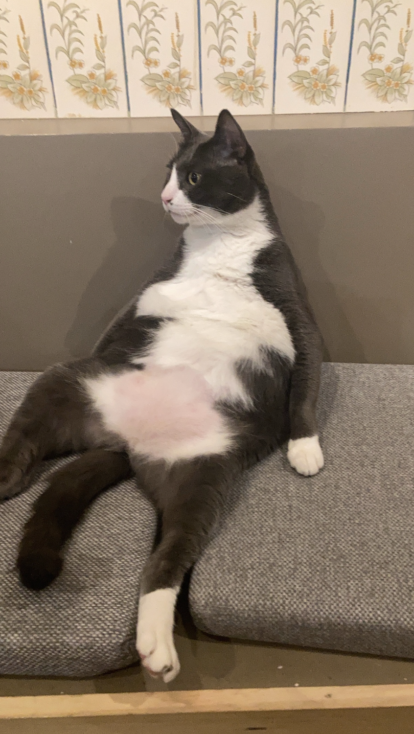 湯姆的坐姿真的好搞笑！