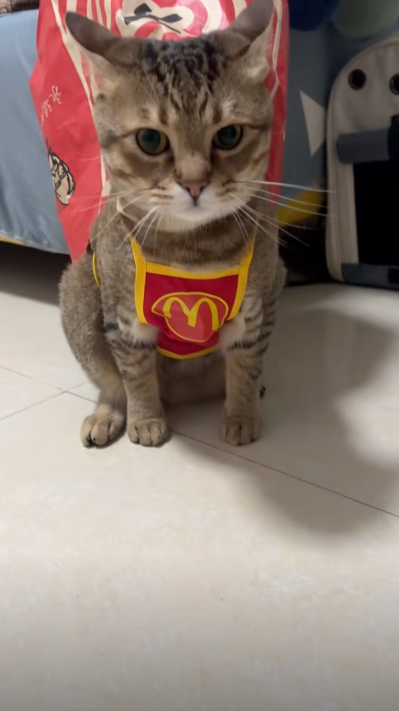 其實念念也想當網紅啦～