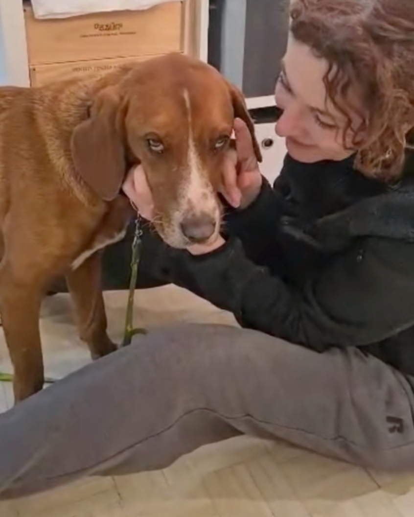 如果找不到人收編，Nina也不介意一直當Hogar的家人～