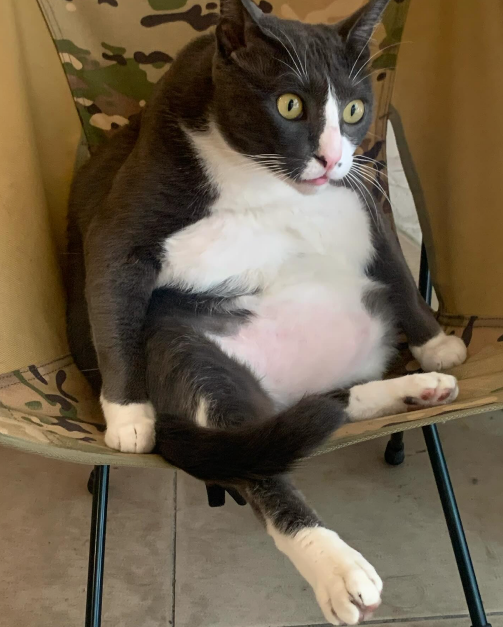 湯姆：這些年的肉肉都不是白吃的！